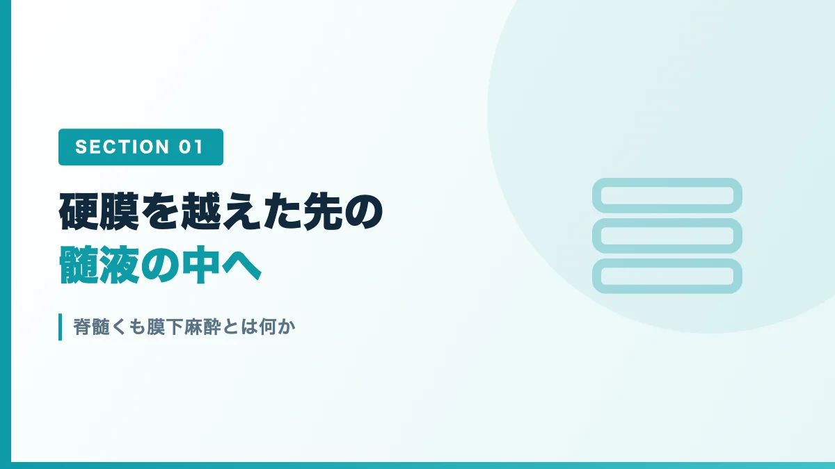 脊髄くも膜下麻酔で薬を届けるくも膜下腔を表すバナー画像