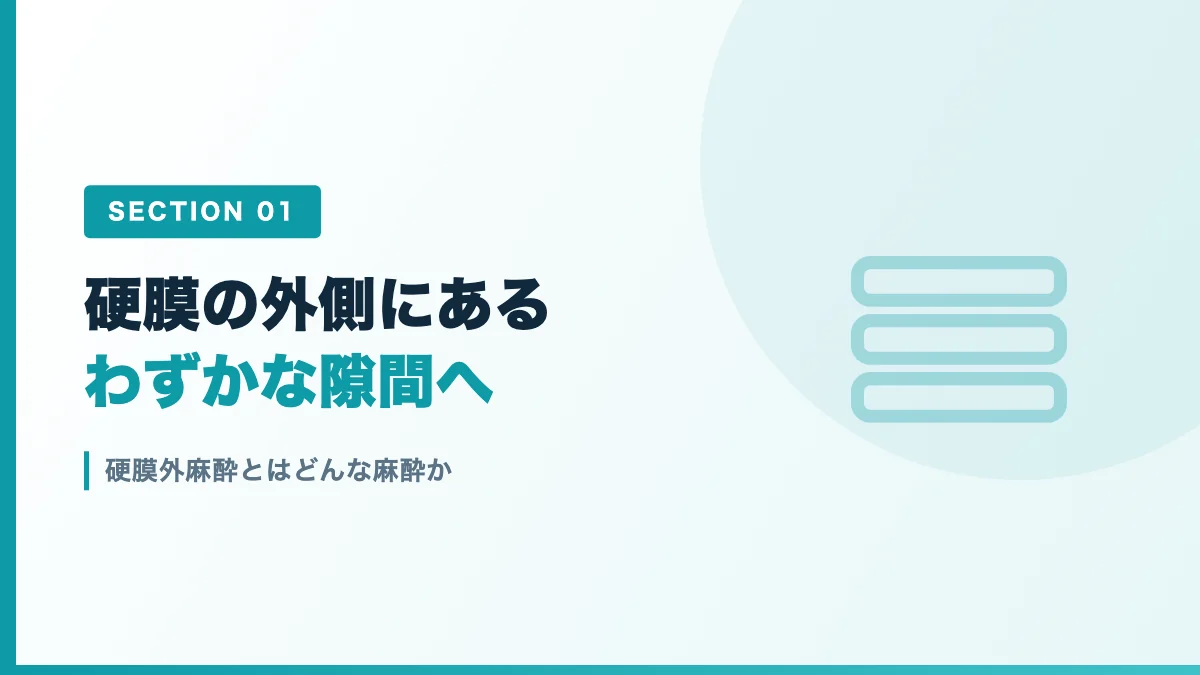 硬膜外麻酔で薬を入れる場所を表すバナー画像