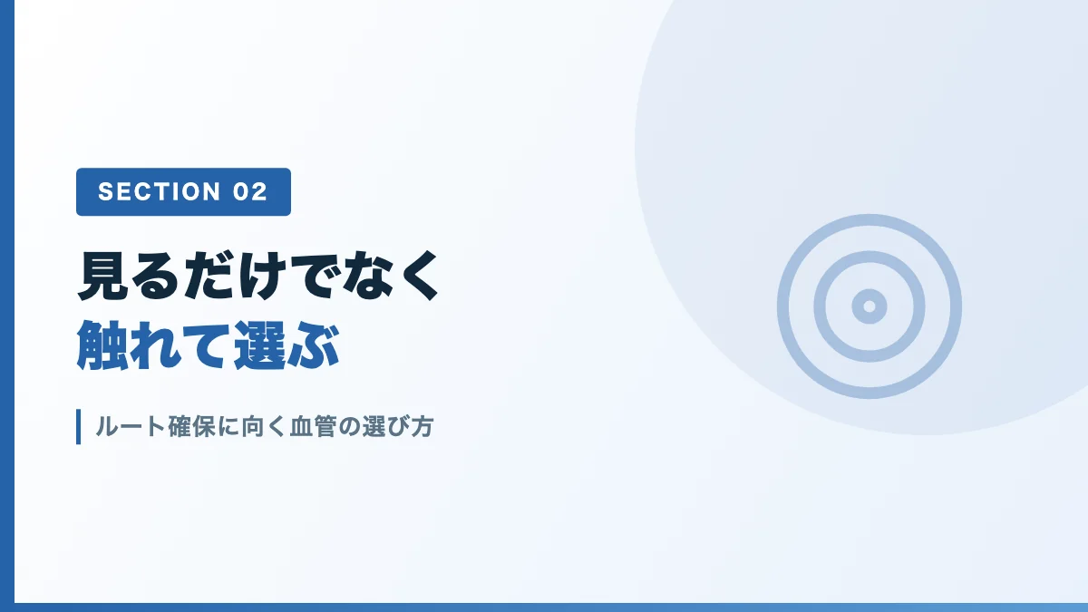 ルート確保に向く血管の選び方を表すバナー画像