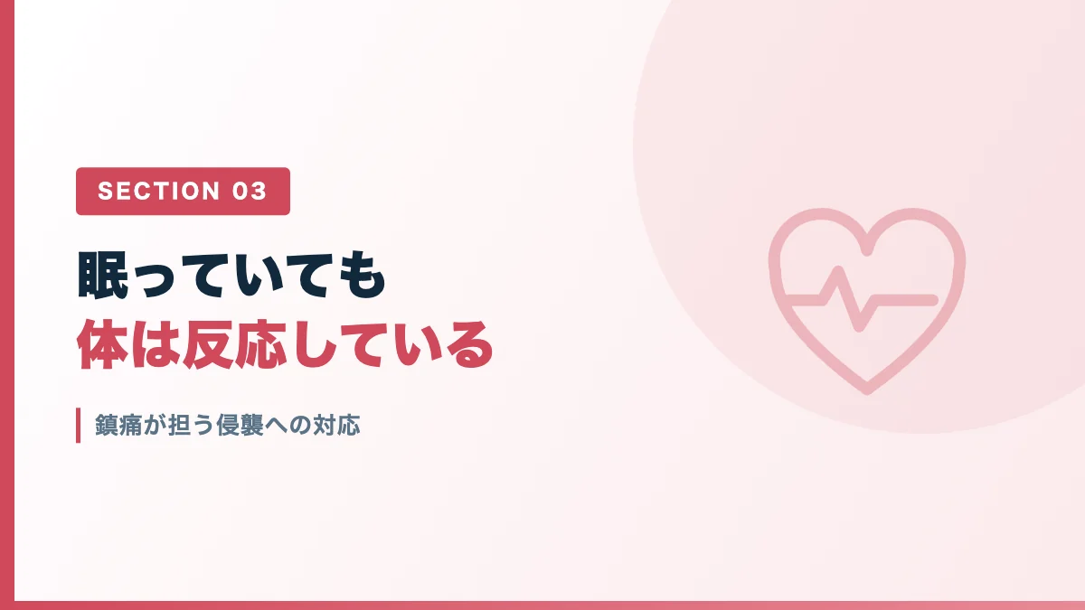 全身麻酔における鎮痛の役割と循環の変化を表すバナー画像