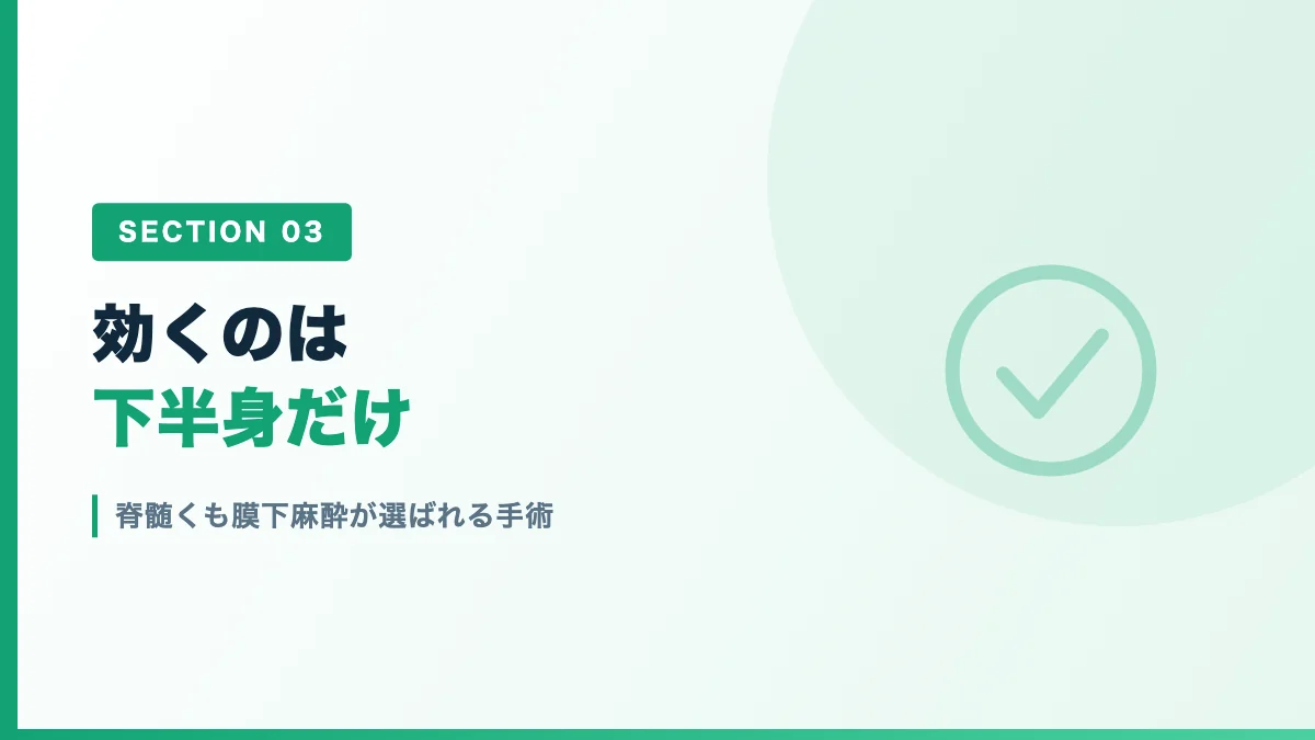 脊髄くも膜下麻酔が選ばれる手術を表すバナー画像