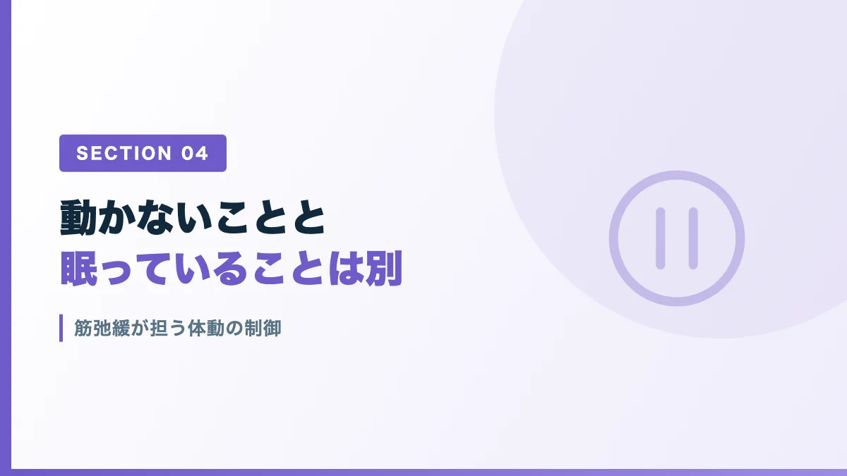 全身麻酔における筋弛緩の役割と体動の制御を表すバナー画像