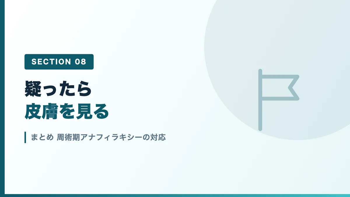 周術期アナフィラキシーの対応のまとめを表すバナー画像